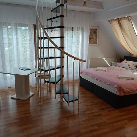 Appartamento Pension Donaublick Grein 2 In Stifterstrasse19. Esterno foto