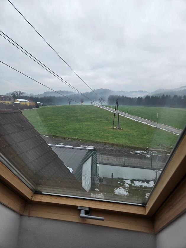 Appartamento Pension Donaublick Grein 2 In Stifterstrasse19. Esterno foto