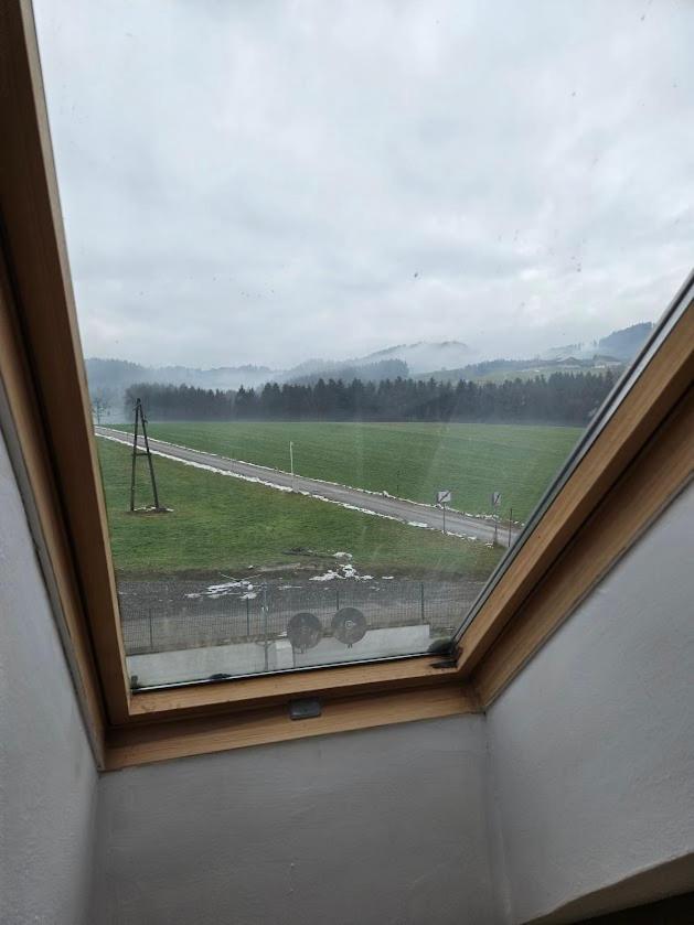 Appartamento Pension Donaublick Grein 2 In Stifterstrasse19. Esterno foto